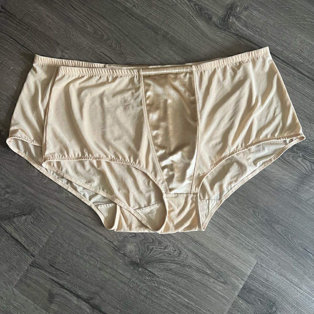 Secret Solutions Brief size 5x Plus size Power Mesh Tummy Control